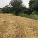 남양읍사무소 이미지