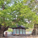 원포경로당 이미지