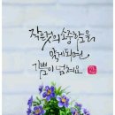 람쥐야 도토리 이미지