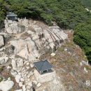 바닷가 숲속 이미지