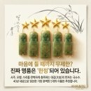 용신40 | 추천] 상위 1%가 선택하는 진짜 유명한 작명소, 인터넷작명소 '아이이름작명원' 완벽 분석 및 솔직 후기
