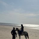 전북 고창 해변 승마체험 데이트 추천, 휘게팜