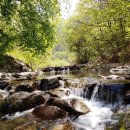 벌 민박 이미지