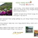 [산수유캠프] 신청하지 않은 분도 오세요! / 염불보다 잿밥은? 카라반파크로! 이미지