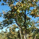 주흥농장 이미지