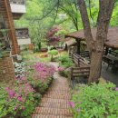 가평 힐링스타 펜션 이미지