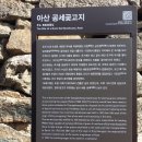 잣미 티스토리