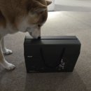 보한농장 | 올 겨울도 따뜻한 아내의 손발을 기대하며 주문한 흑염소 보양식 흑삼전탕