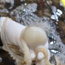 대일수산 이미지