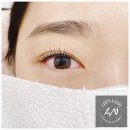 리스속눈썹
