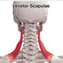 신농씨한의원 이미지
