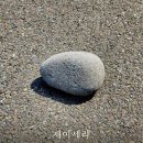 돌멩이 이미지