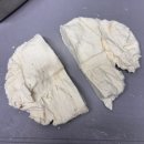 동래원예고등학교 | 식품가공기능사 합격 후기 / 동래원예고등학교(부산)