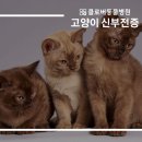 클로버 동물병원 이미지