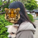 담세커피 | 담세커피 – 감성 충만한 주택 카페 (애견동반/주말/주차 후기)