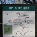 신한동물병원 앞 이미지