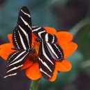 안양연합치과의원 이미지