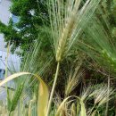 대구병원 뒤편 이미지