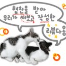 펀스리빙 이미지