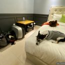 남산공원 일주로 이미지