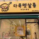 다독펫살롱 이미지