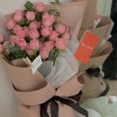 로즈스윗츠 이미지