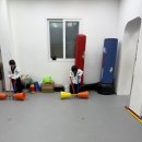 차돌태권도장 이미지