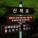 축구센터 산책로 이미지