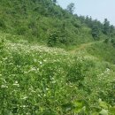 도천공인중개사사무소 이미지