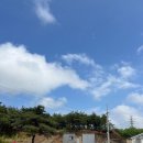 공감591