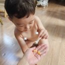 아하스토어팜 | 아하핏 아연 비타민젤리 키즈로 아이 건강관리 간단하게