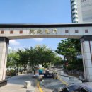 당현천 차없는거리 이미지