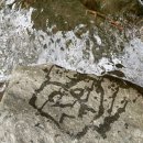 가평잣나무숲하우스 이미지