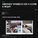 Dr.윤24시동물병원 | 봉담24시동물병원 반려동물 교통사고, 내부 손상 여부를 꼭 체크하셔야 합니다.