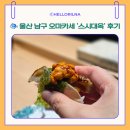스시201 | 울산 남구 스시 오마카세, 스시대옥 후기🐟