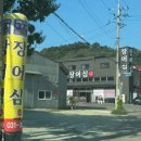 장어심