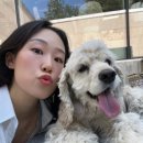 목적지9 이미지