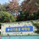 송산목장 | [육아 기록] 35개월 아기랑 “광주 송산목장” 재방문 후기(feat.모래놀이)