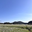 봉주르제주 이미지