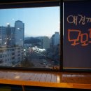 모모몽 애견까페 이미지