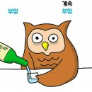 종로빈대떡 이미지