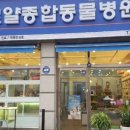 로얄종합동물병원 이미지