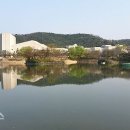 두류공원 이미지