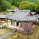 남도 행정사 사무소 이미지