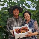 봄봄유통 이미지