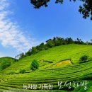 뜰안에 민박 네이버블로그
