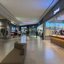 봄 날 숲길따라, 사하 林[산림치유 평생학습 프로그램] | [경기도 부천시] 백만송이장미원 - 전 견종 가능 · 맹견 입마개 · 목줄 착용 · 배변봉투 지참