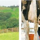 성기목장 이미지