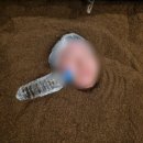 금화효소원 | 창원 효소찜질 맛집 금화효소원 찐 추천 후기