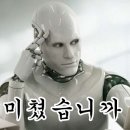 휴먼아이티 이미지